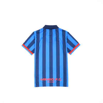 Mingo Stripe Soccer Jersey - image 4